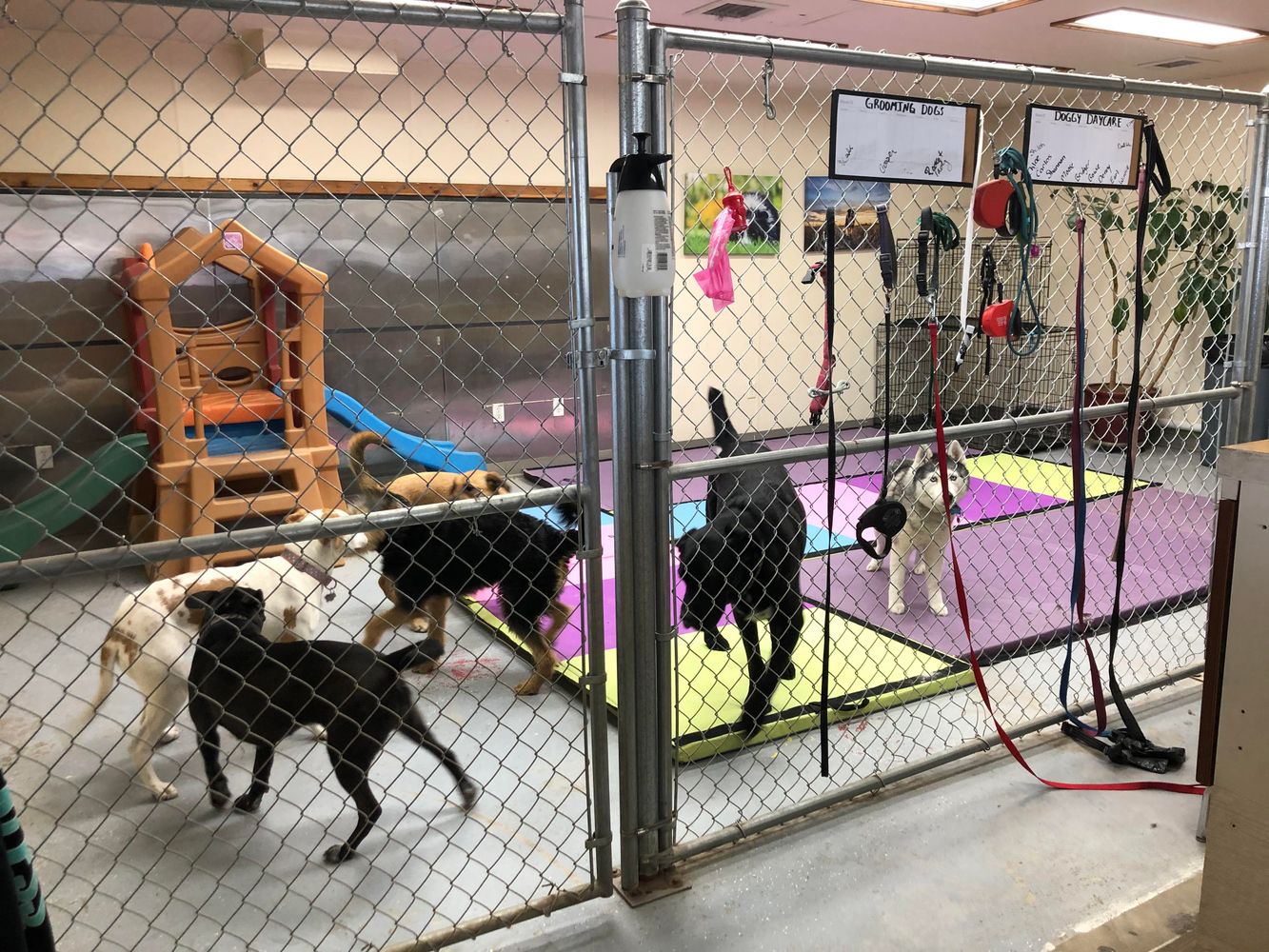 Mission Mountain Pet Service Inc.: 11 7th Ave W, Polson, MT 59860
